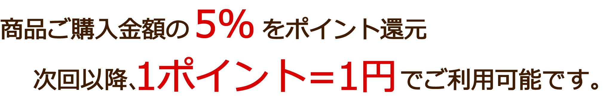 ポイントについて1