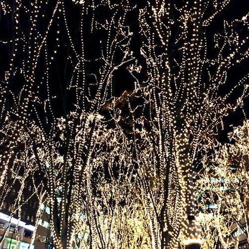 SENDAI 光のページェント